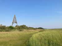 Kobbeduinen